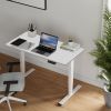 Electric Standing Desk Dual Motor 3 Stages Adjustable Height Desk Home Office Computer Workstation Sit Stand up Desk, 55 x 28