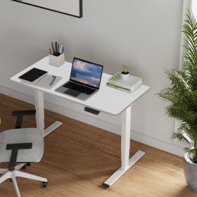 Electric Standing Desk Dual Motor 3 Stages Adjustable Height Desk Home Office Computer Workstation Sit Stand up Desk, 55 x 28