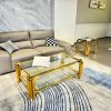 Modern Stainless Steel Coffee Table Set (Set of 2), Double-Layer Clear Tempered Glass Table Top