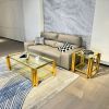 Modern Stainless Steel Coffee Table Set (Set of 2), Double-Layer Clear Tempered Glass Table Top