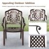 Patio Cast Aluminum Dining Chairs Set of 2 Metal Armchairs Stackable