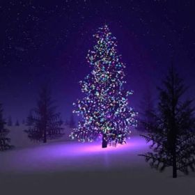 Colorful Firefly - Solar mini LED Christmas lights on Strings (style: 100 Bulbs)