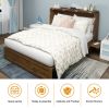 Murphy Bed Cabinet, Queen Murphy Bed with USB and Charging Ports, Murphy Bed Cabinet with Drawer Includes Storage Cabinet