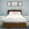 Murphy Bed Cabinet, Queen Murphy Bed with USB and Charging Ports, Murphy Bed Cabinet with Drawer Includes Storage Cabinet